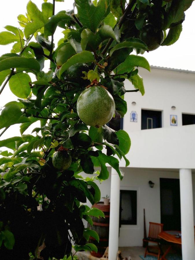 Apartamento Lazy Lizard By The Ocean Seixal  Exterior foto