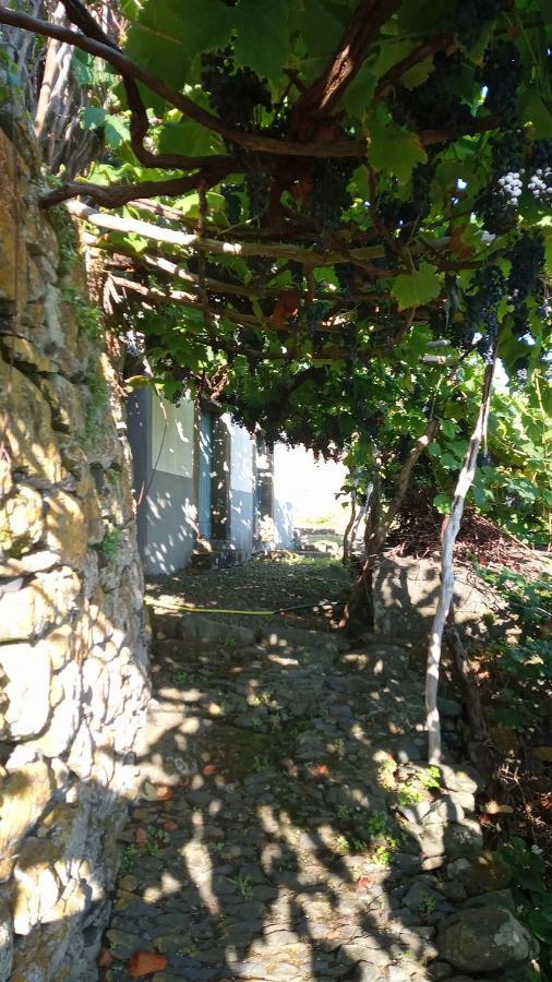Apartamento Lazy Lizard By The Ocean Seixal  Exterior foto
