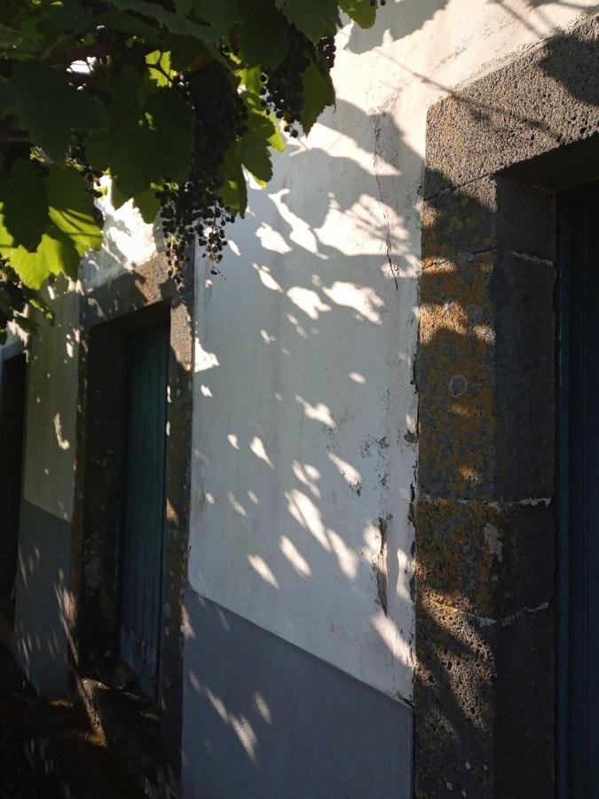 Apartamento Lazy Lizard By The Ocean Seixal  Exterior foto