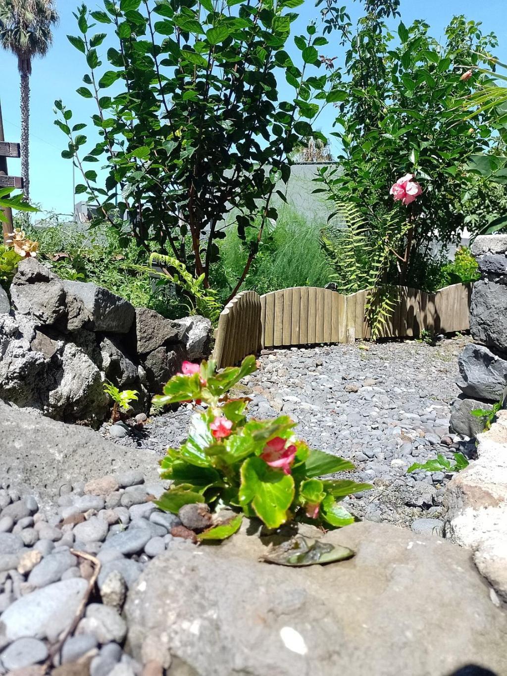 Apartamento Lazy Lizard By The Ocean Seixal  Exterior foto